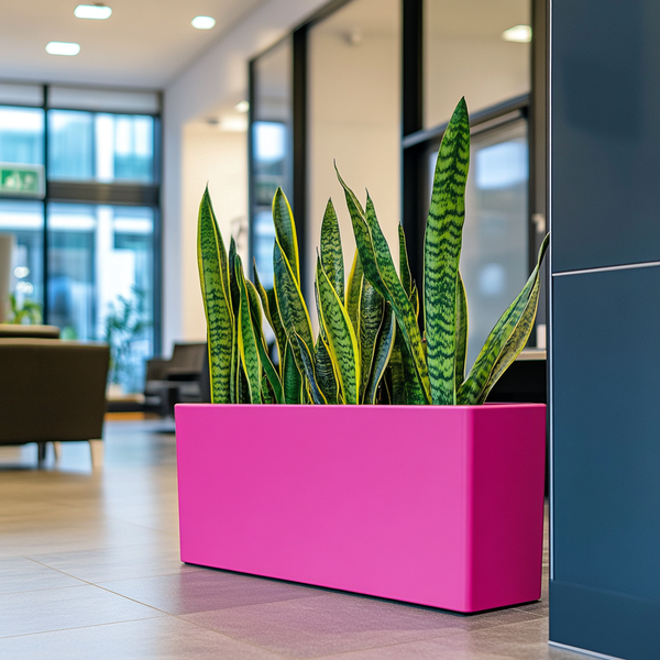 Using large colourful planters in commercial spaces