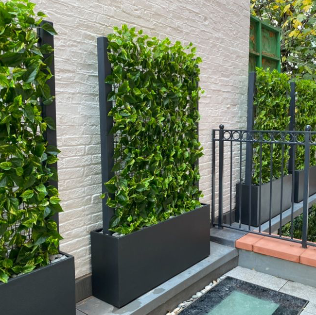 Pothos screens for a central London residential property development