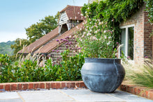 Load image into Gallery viewer, Large Country Style Bell Jar planter in an aged Copper finish