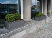 Load image into Gallery viewer, Chelsea Trough Planter