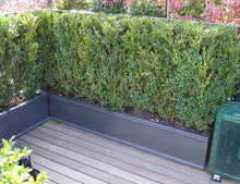 Load image into Gallery viewer, Chelsea Faux Lead Trough Planter Roof Terrace