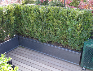 Chelsea Faux Lead Trough Planter Roof Terrace