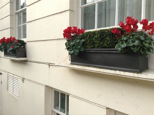 Chelsea Window Box Faux Lead Planter