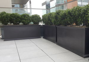 Grosvenor Trough Planters