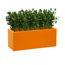 Load image into Gallery viewer, Bright Orange Trough Planters