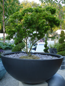 Large Planters. Decorative large garden bowl planter.
