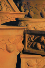 Load image into Gallery viewer, Citrus Planter Terracotta