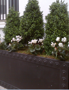 Traditional Lead finish London trough planters in the Cromwell design