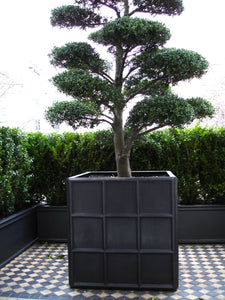 Downing Street Faux Lead Square Planter