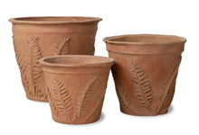 Load image into Gallery viewer, Fern Terracotta Planter