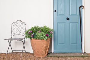 Fern Terracotta Planter