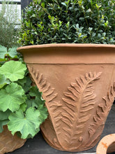 Load image into Gallery viewer, Fern Terracotta Planter