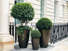 Load image into Gallery viewer, Bronze Planters. Bronze effect large planters by Verti Green