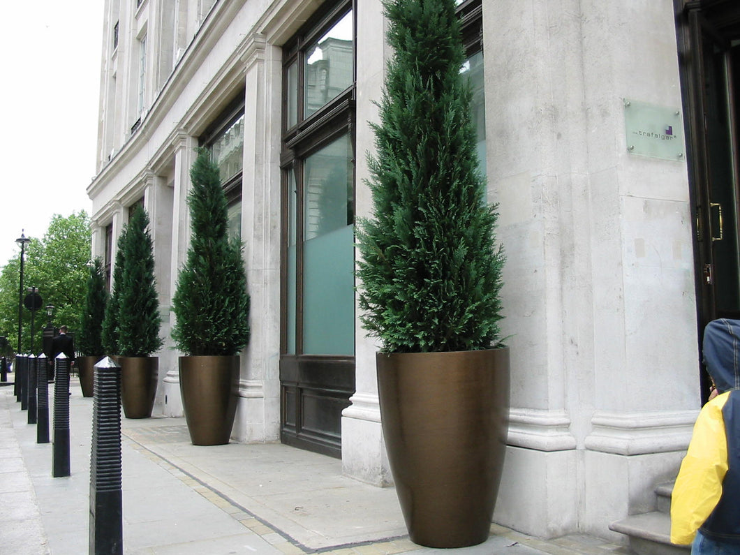 Bronze planters. Large bronze effect planters. Tall vase planters made from fibreglass in a bronze finish.