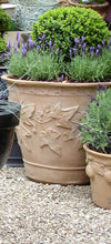 Load image into Gallery viewer, Ivy Terracotta Planter