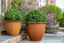 Load image into Gallery viewer, Large rust effect garden planters