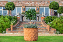 Load image into Gallery viewer, Large terracotta finish Pineapple Terracotta Pots and decorative palm pots
