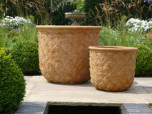 Load image into Gallery viewer, Pineapple Terracotta Pots