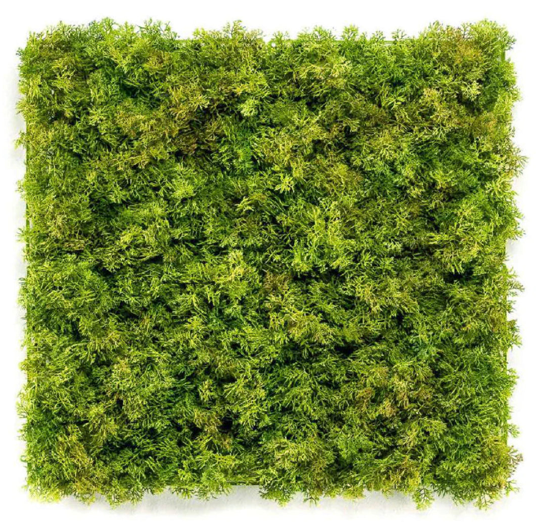 Reindeer moss fake living wall